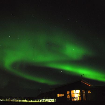 Guesthouse Eldhestar Hveragerdi Kültér fotó